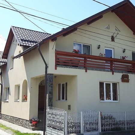 Pensiunea Casa Stet Toader Iulian Săpînţa Buitenkant foto