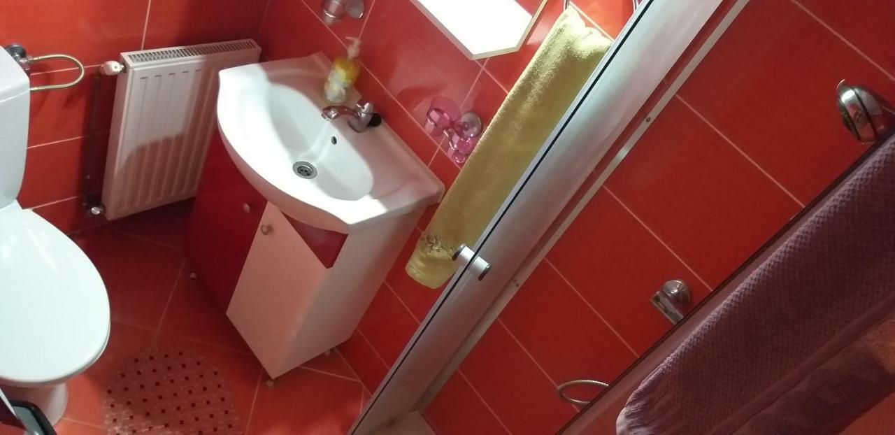 Pensiunea Casa Stet Toader Iulian Săpînţa Buitenkant foto