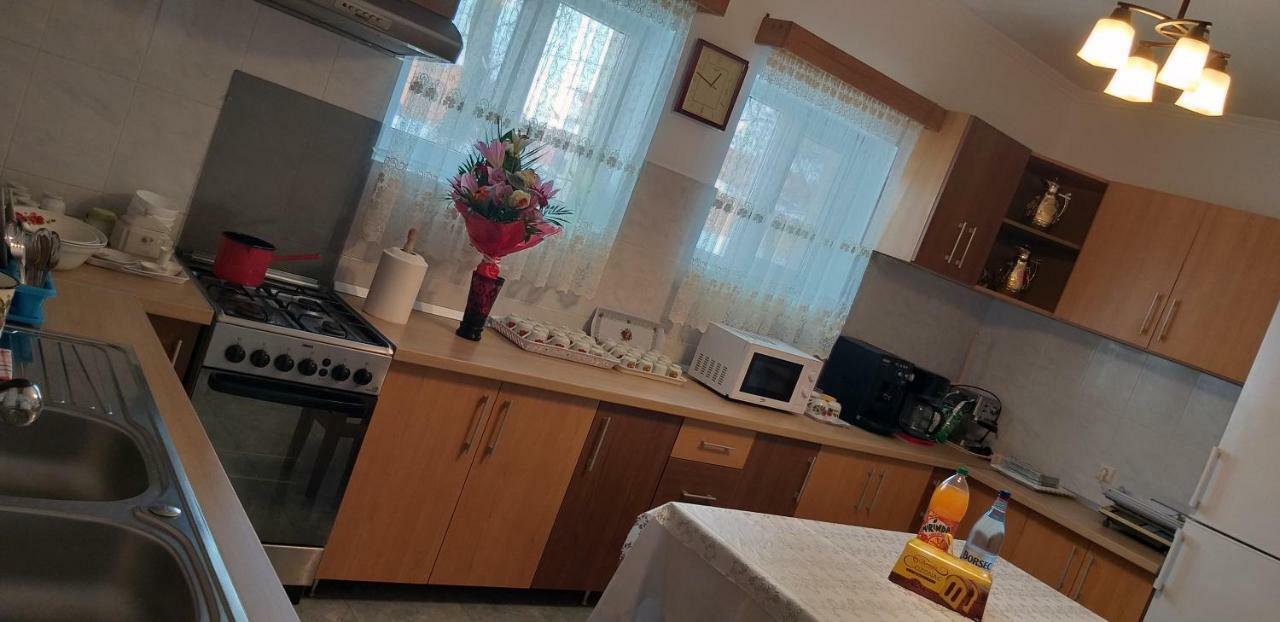Pensiunea Casa Stet Toader Iulian Săpînţa Buitenkant foto