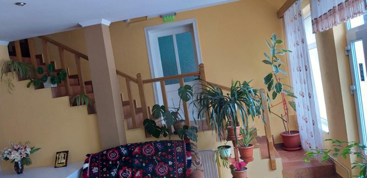 Pensiunea Casa Stet Toader Iulian Săpînţa Buitenkant foto